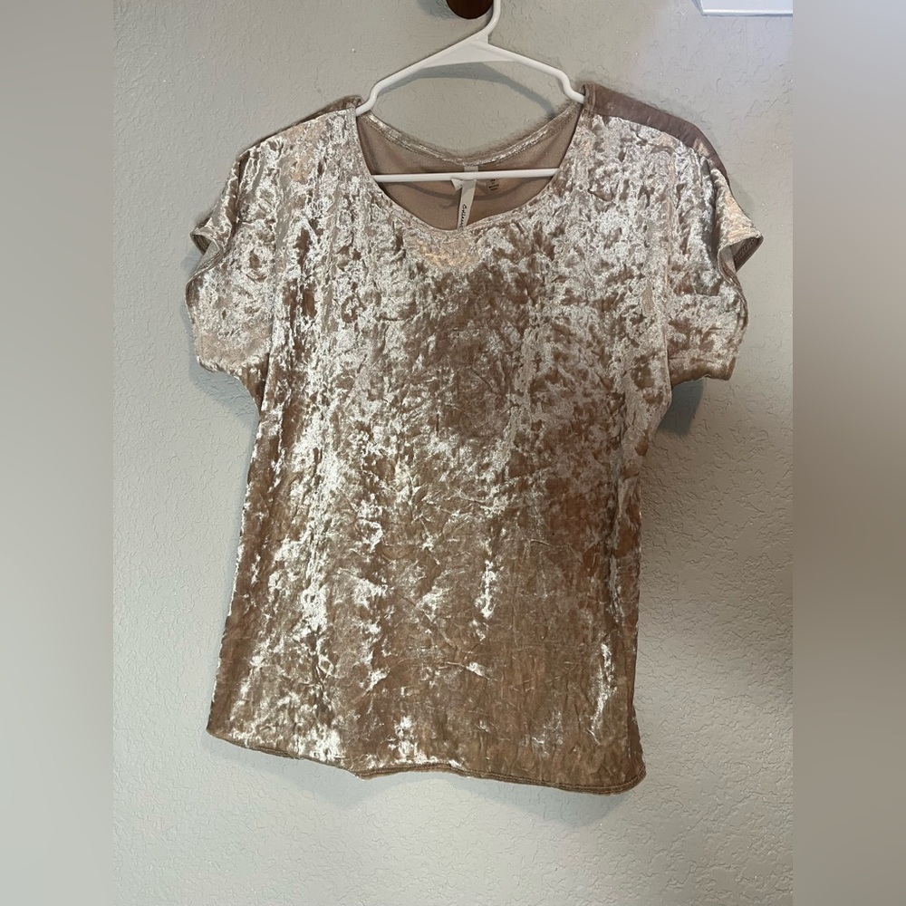 Rose Gold Velvet Top